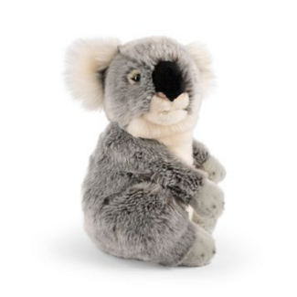 Living Nature Living Nature - Peluche Koala 23 cm