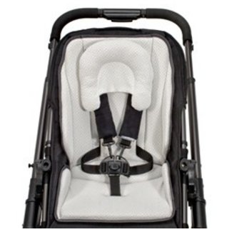 siege auto uppababy
