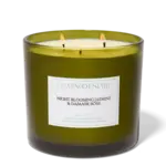 Flamingo Estate The Jasmine XL Candle