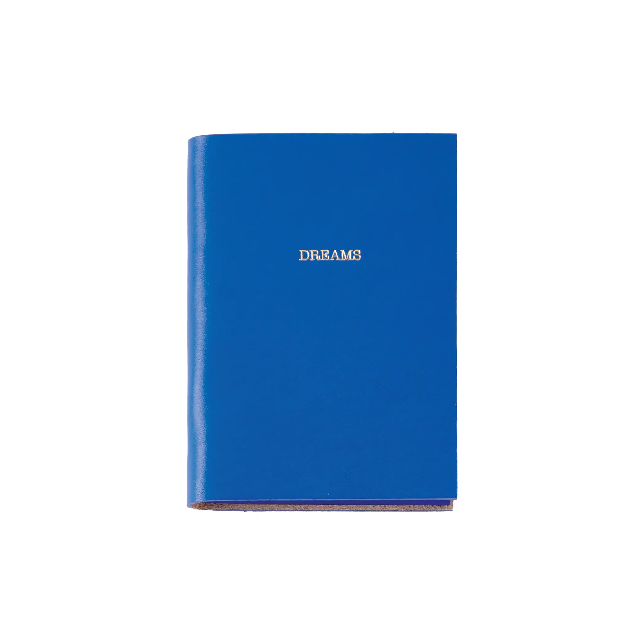 Blue Leather Dreams Journal