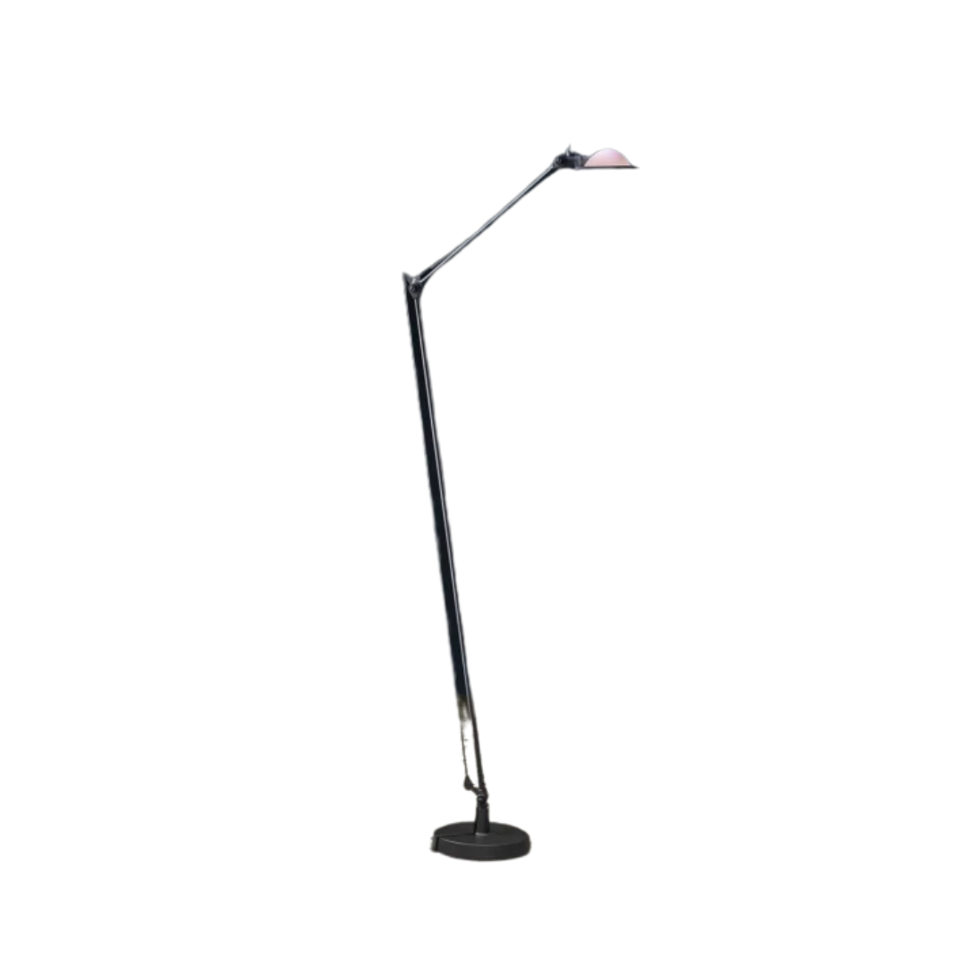 Berenice  Floor Lamp - Black