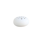 Ceramic Oval Flower Frog - White