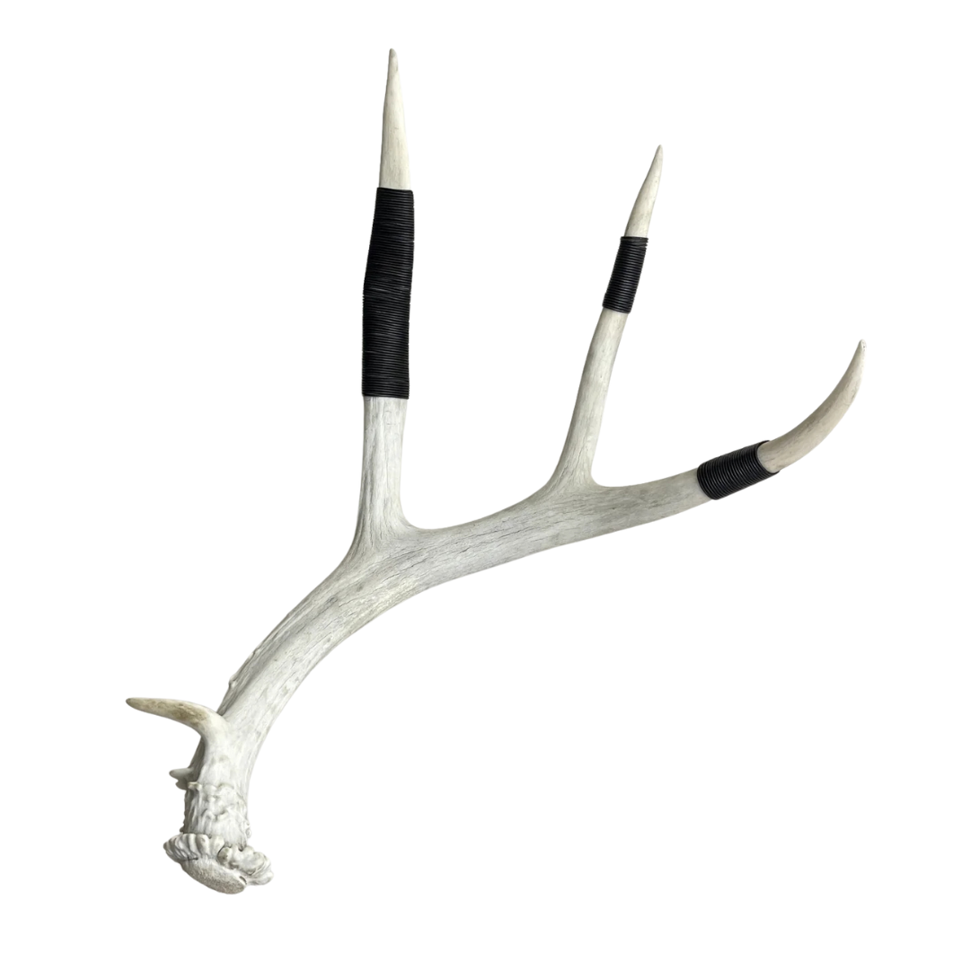 Wire Wrapped Antler - Large