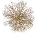 Natural Branch Chandelier