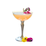 Champagne & Cocktail Coupe