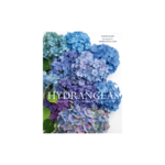 Hydrangeas