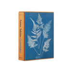 Anna Atkins : Cyanotypes