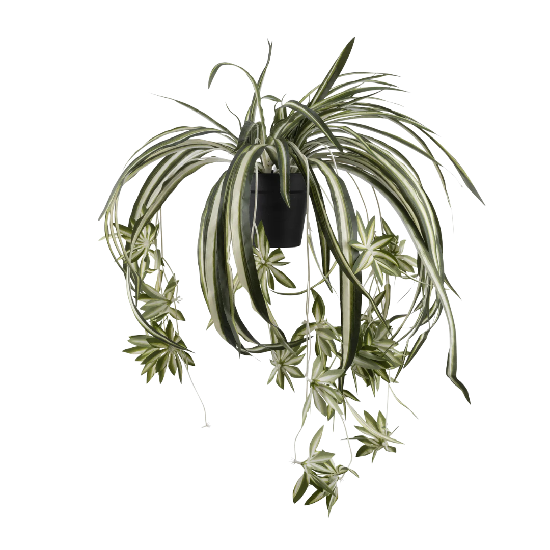 Artificial Spider Plant