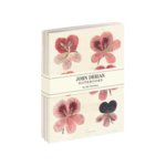 John Derian: Garden Notebook