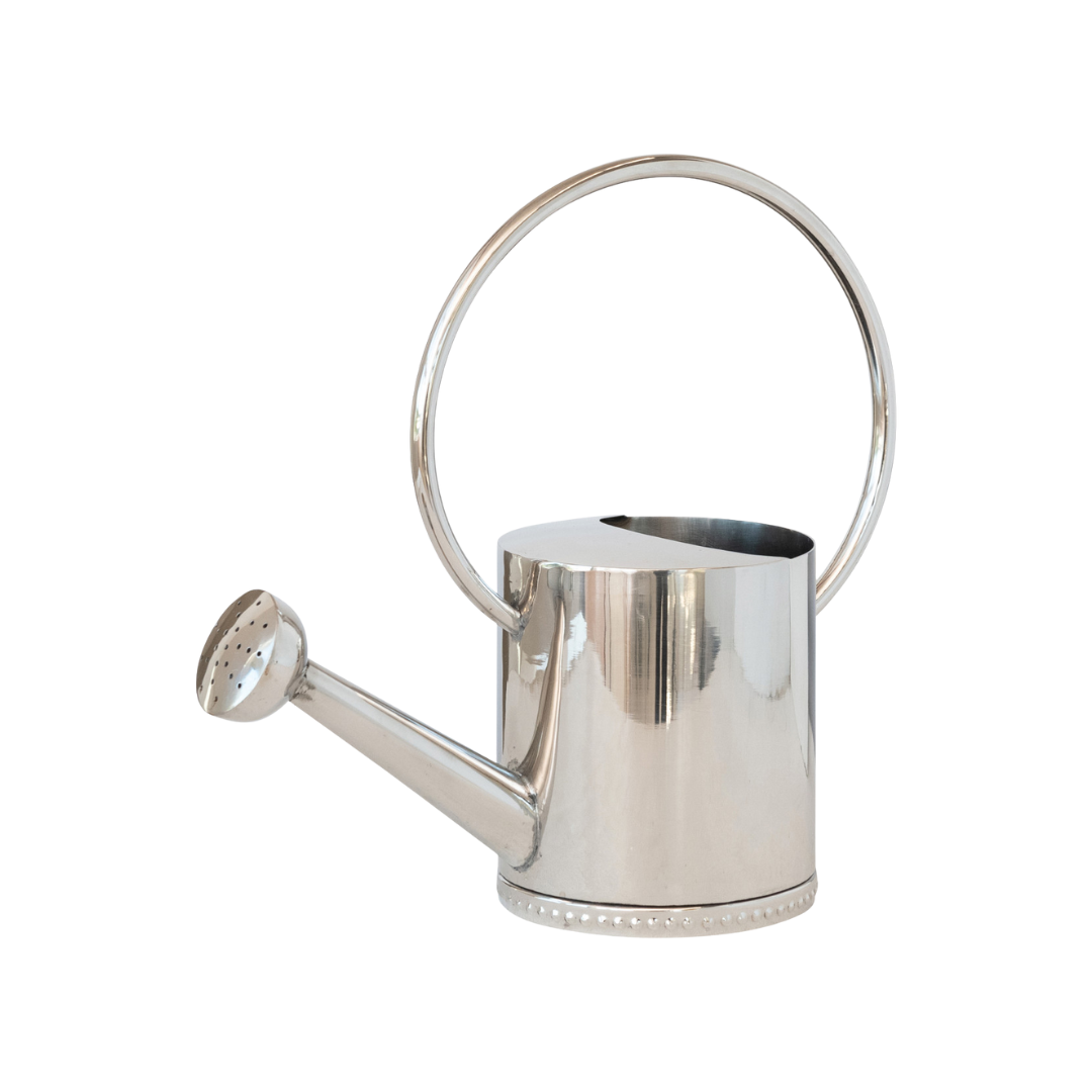 Stainless Steel Watering Can