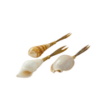 Be Home Sea-Shell Mini Forks, Set Of 3