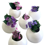 Large Sphere Vase