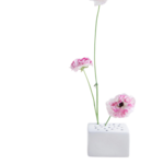 Rectangular Flower Frog