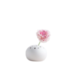 Round Flower Frog