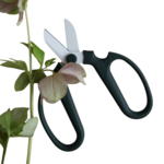 Pine Japanese Floral Clippers