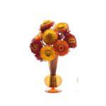 Kim Seybert Amber Tess Bud Vase