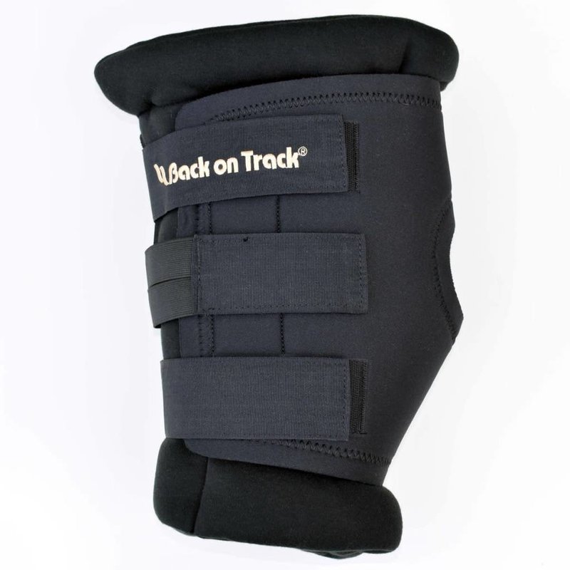 Back On Track Therapeutic Padded Royal Hock Boots
