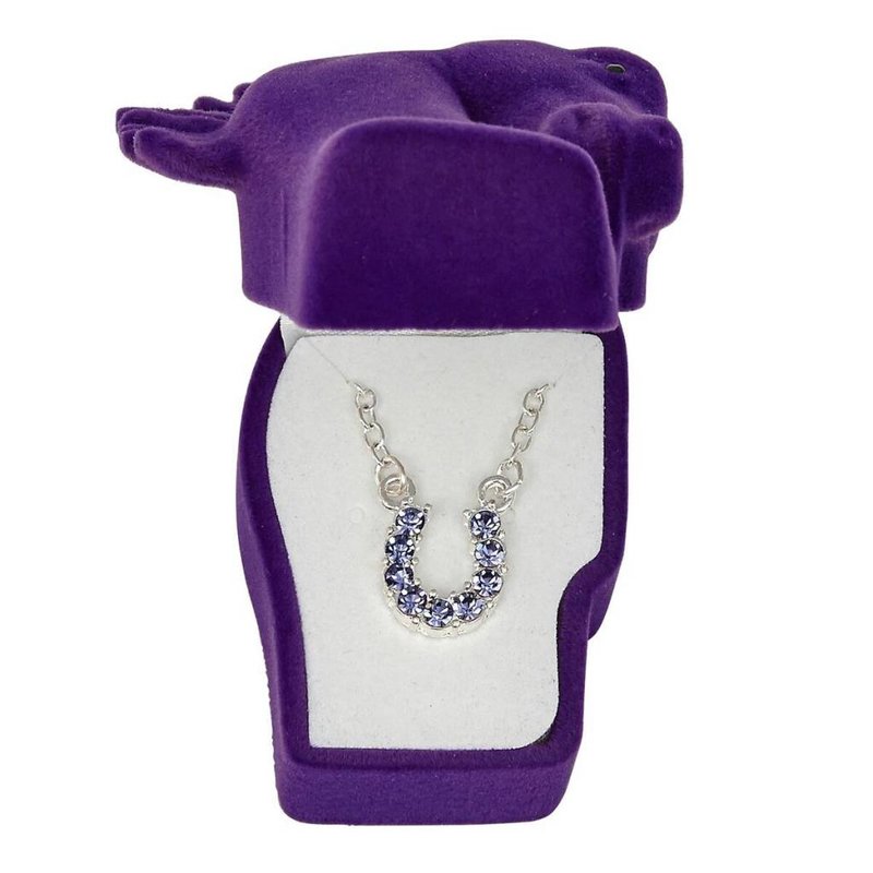 AWST Necklace - Rhinestone Horseshoe