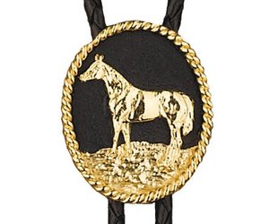 Bolo Tie - Triangle Shriner - Gass Horse Supply & Western Wear