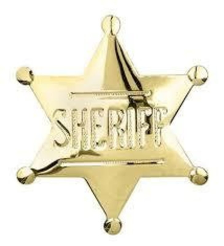 WEX Badge - Sheriff Pin Gold