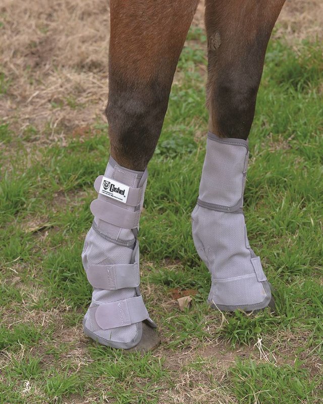 Cashel Crusader Leg Guard - Horse