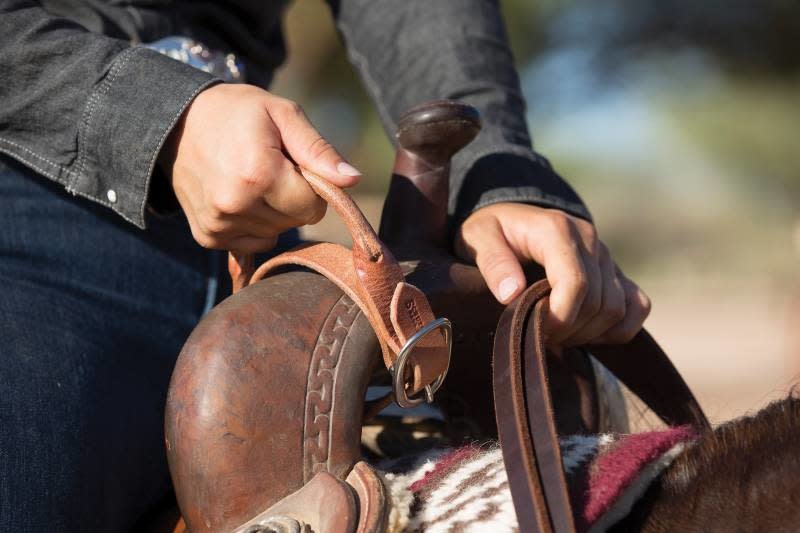 Night Latch Harness Leather Gass Horse Supply & Western Wear