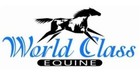World Class Equine