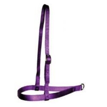 Triple E Tie Down Caveson, Premium Nylon, 1" Nose