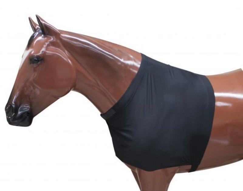 Showman Showman Lycra Shoulder Guard