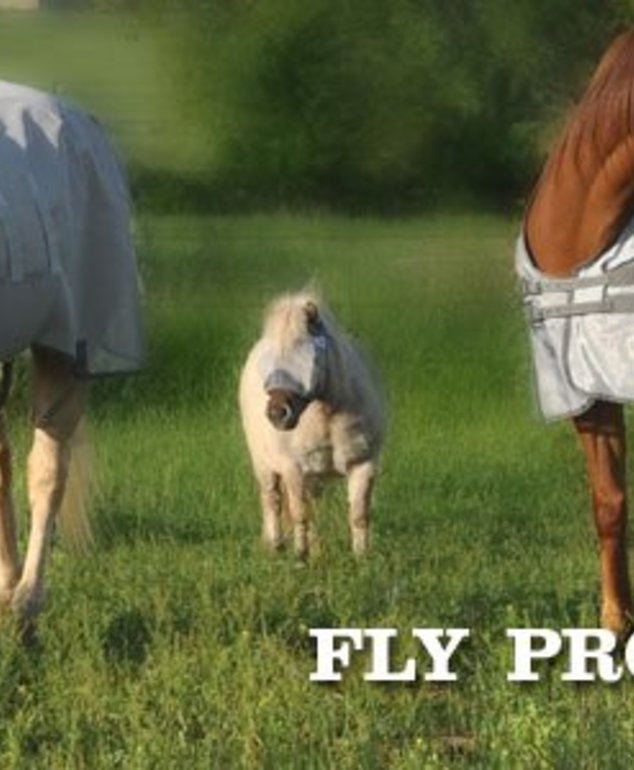 Fly Protection
