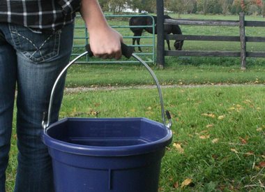 horse buckets