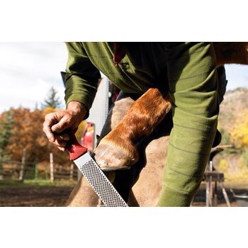 Farrier