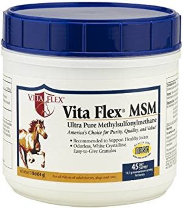 Vita Flex Pro MSM - 1LB