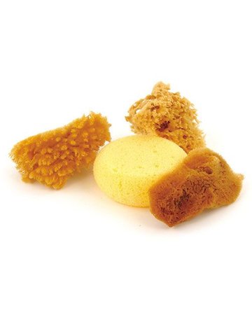 Assorted Tack Sponges - Pack