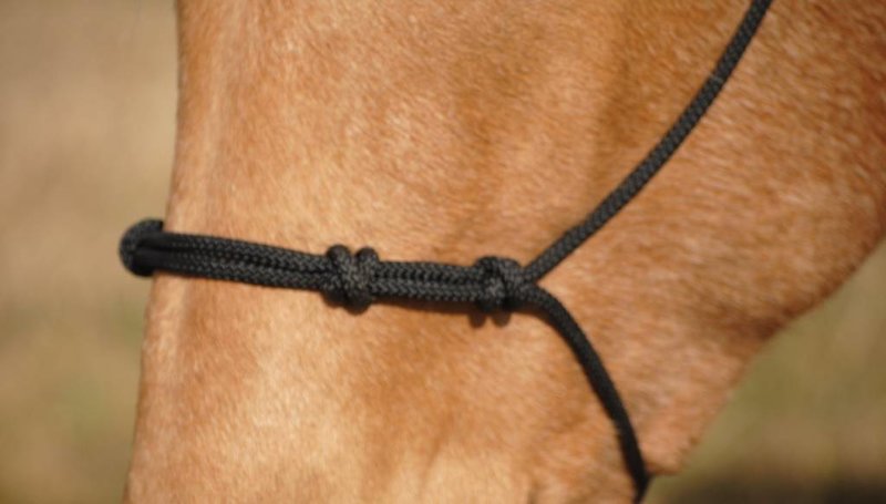 Double Diamond Double Diamond Four Knot Nose Rope Halter