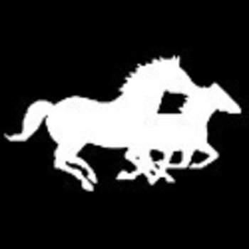 Decal - Mare & Foal Running