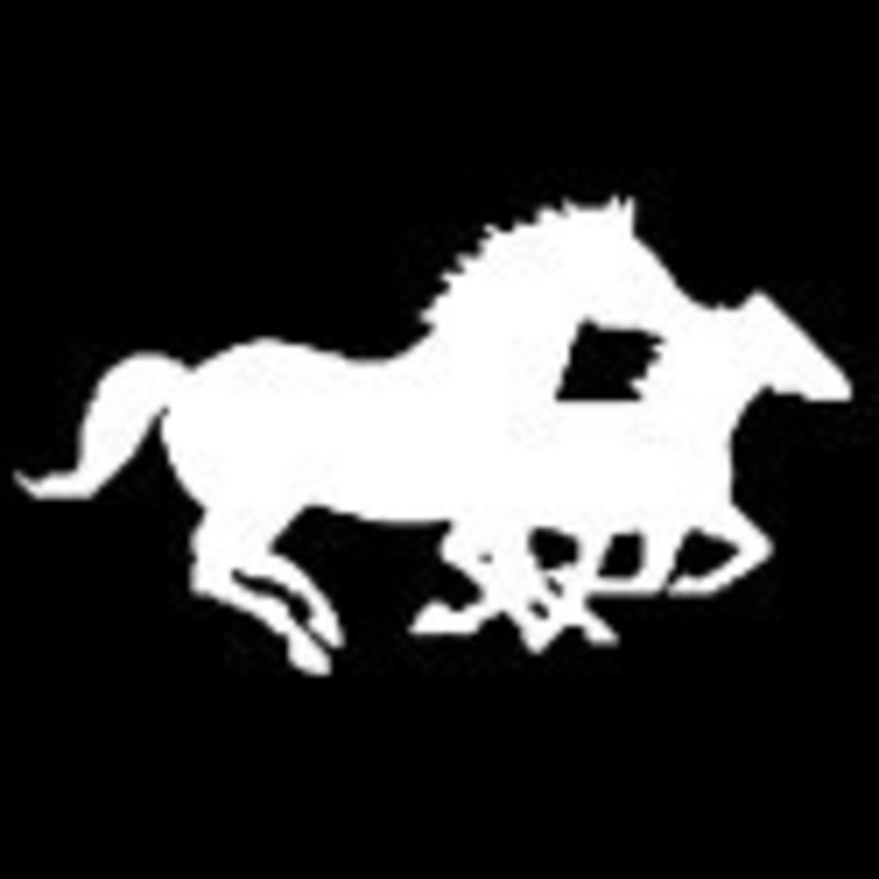 Decal - Mare & Foal Running