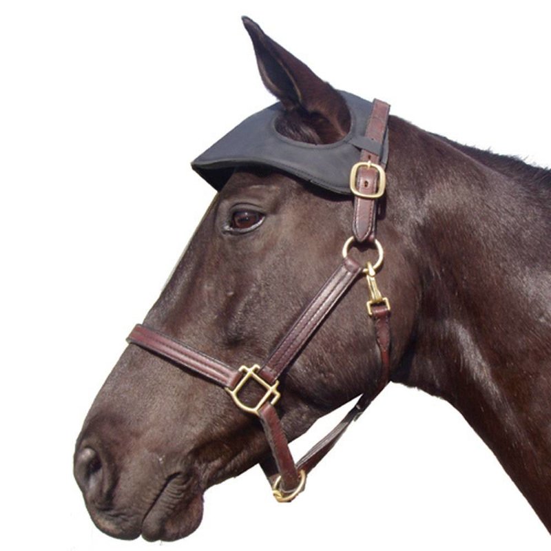 Intrepid Easy Care Neoprene Head Bumper, Black - Horse