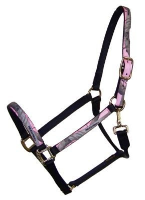 1 Leather Overlay Adjustable Nylon Halter with Leather Crown, Bronze  Hardware