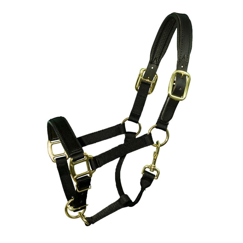 Intrepid Padded Breakaway Crown - Fully Adjustable Nylon Halter