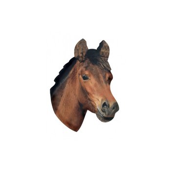 Magnet - Horse Head