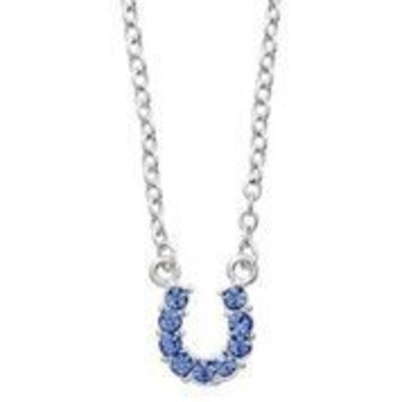 AWST Necklace - Rhinestone Horseshoe