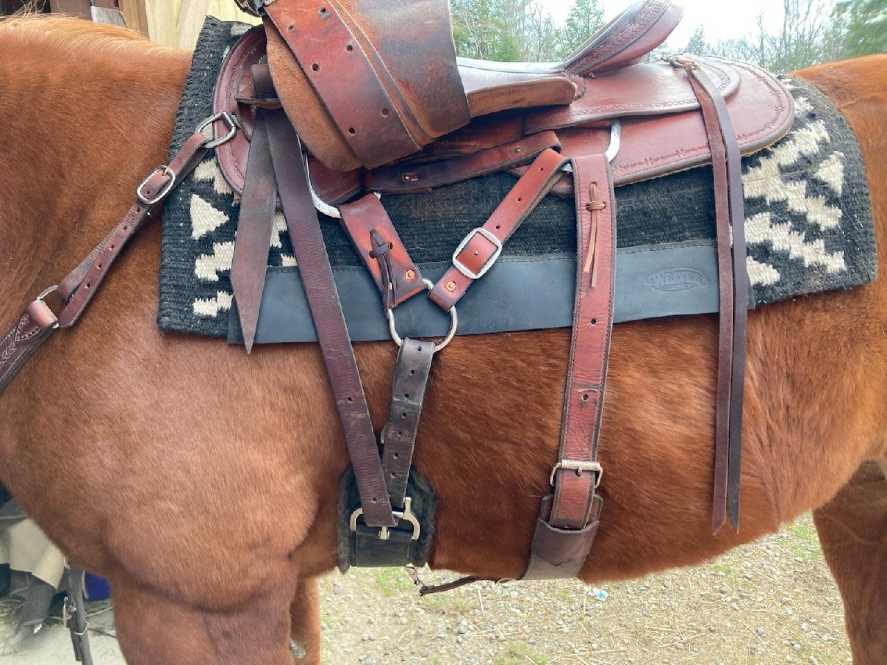 Centerfire Western Drop Y Rigging Pair Gass Horse Supply & Western Wear