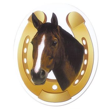 Solid Brass Horseshoe Hook - 2.5W X 4L - Gass Horse Supply