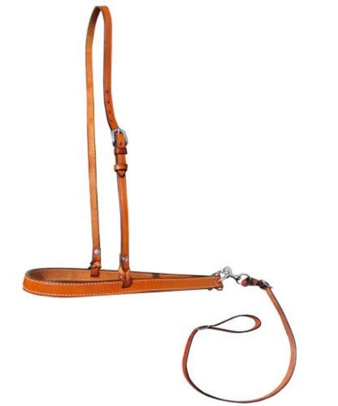 Showman Leather Noseband and Tie Down - Draft Size