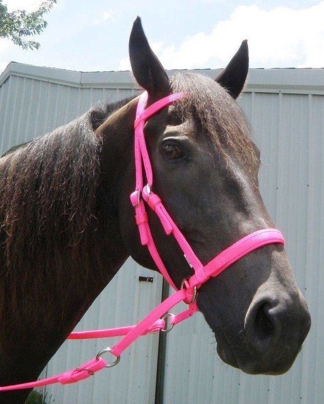 Dr. Cook Dr. Cook Bitless Bridle Nylon, Pink - Small