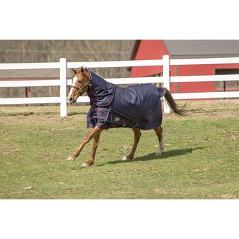  TuffRider Comfy Standard Neck Medium Weight Stable Blanket-  1200D, 200gms- Beige and Black Plaid- 78 : Pet Supplies