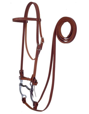 Fabtron Fabtron Complete Leather Browband Bridle