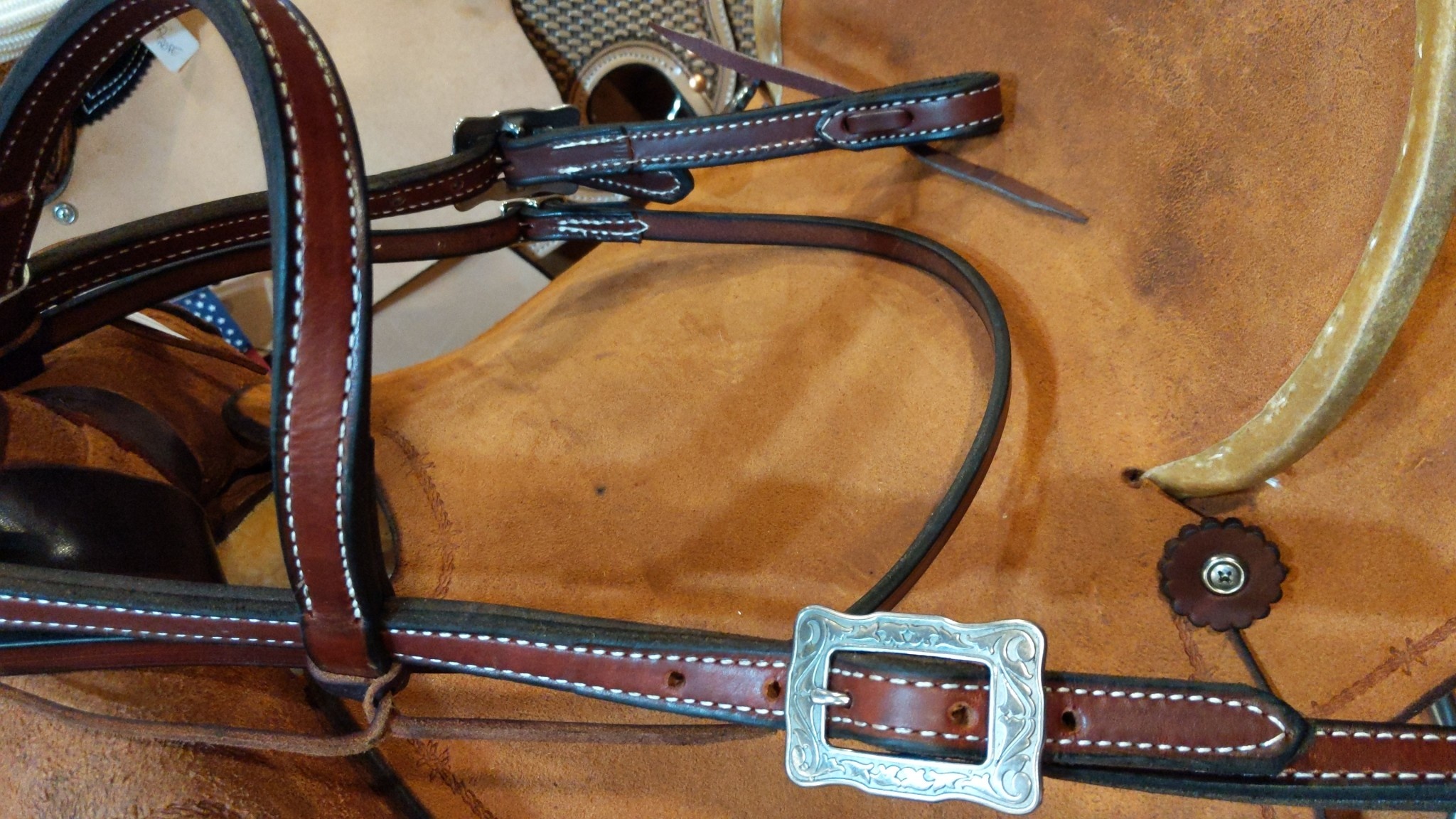 Bosal Bridle - Showman with Turquoise Accents