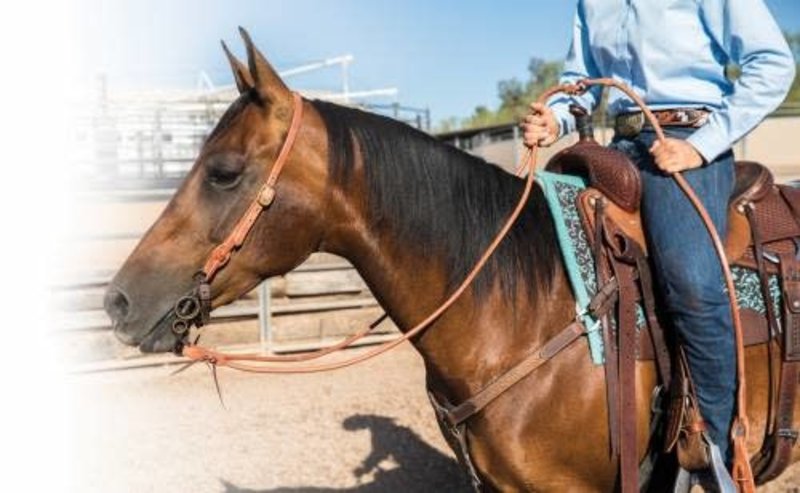 Harness Leather Romal Reins with Waterloops